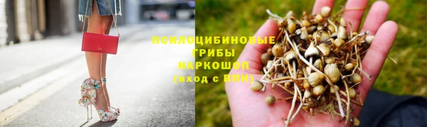 амф Беломорск