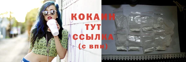 эйфоретик Белокуриха