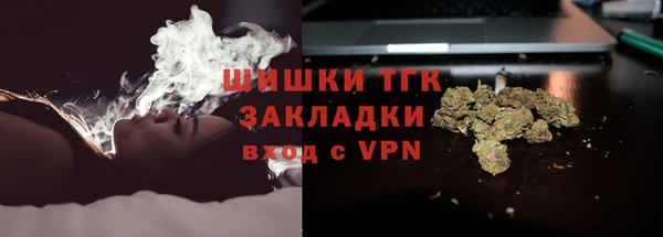эйфоретик Белокуриха