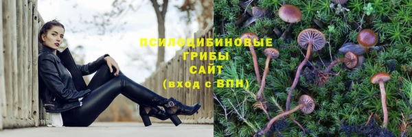 эйфоретик Белокуриха