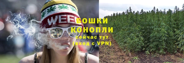 амф Беломорск
