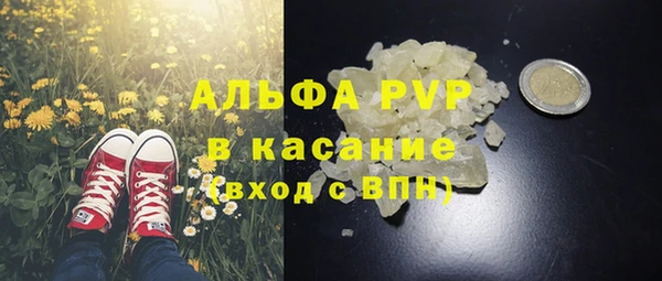 амф Беломорск