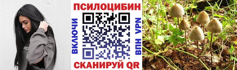 Псилоцибиновые грибы Cubensis  Пыть-Ях 